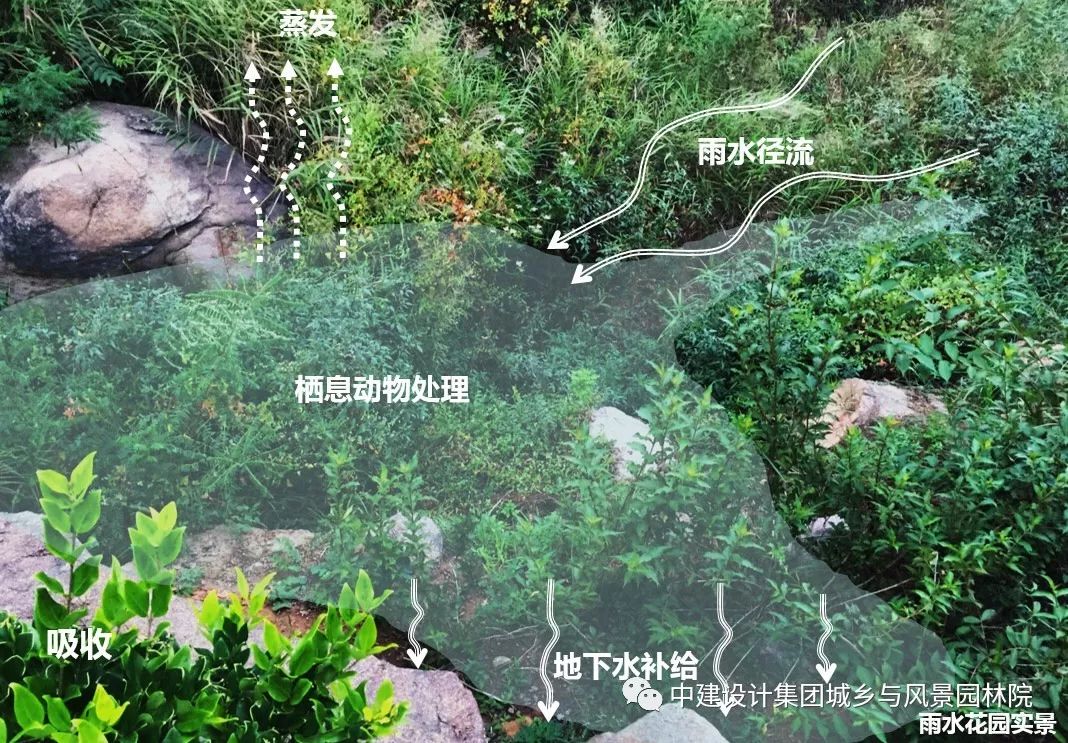 青岛浮山总体景观规划及重要节点详细设计丨中国青岛-179