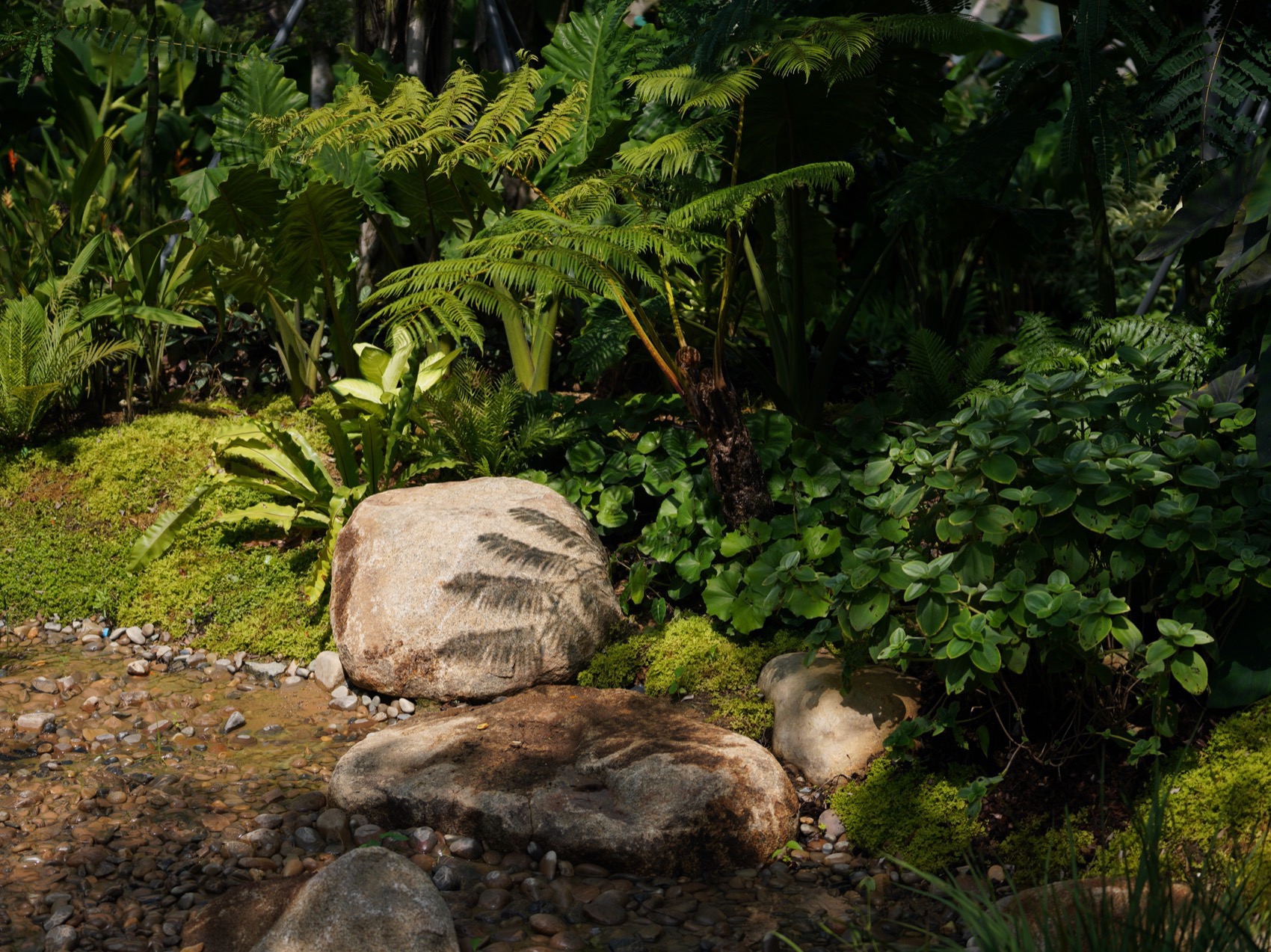 三亚海棠河生态公园阔叶浅溪段的花境生态营造丨中国三亚丨LOLA景观建筑设计事务所-141