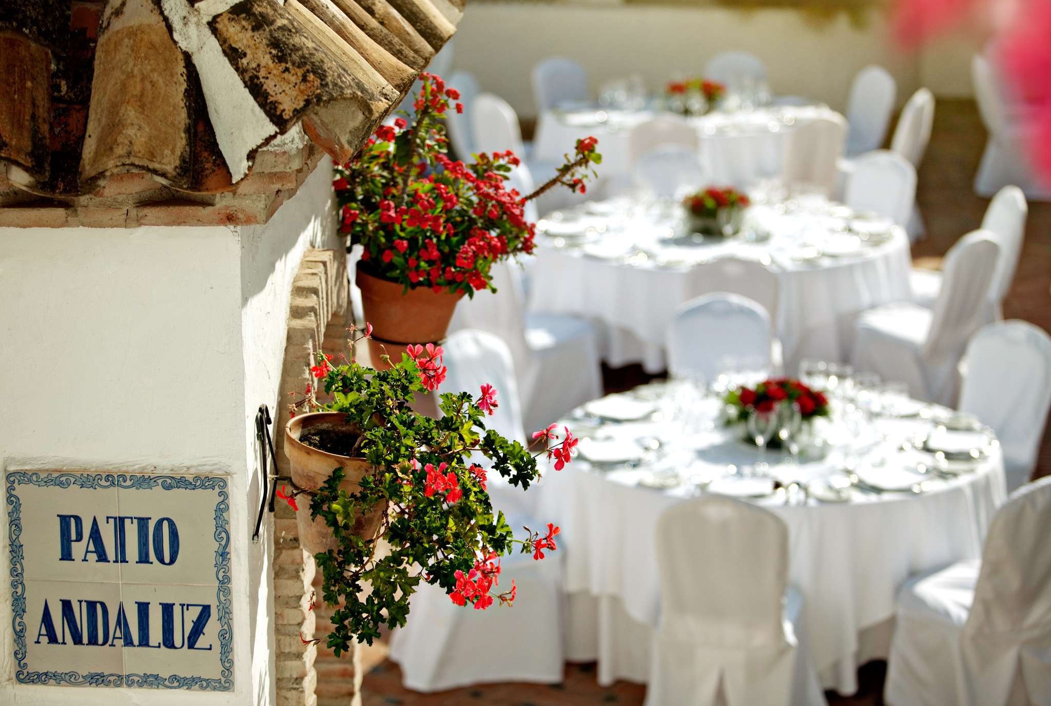 西班牙马贝拉罗马桥酒店-2-30