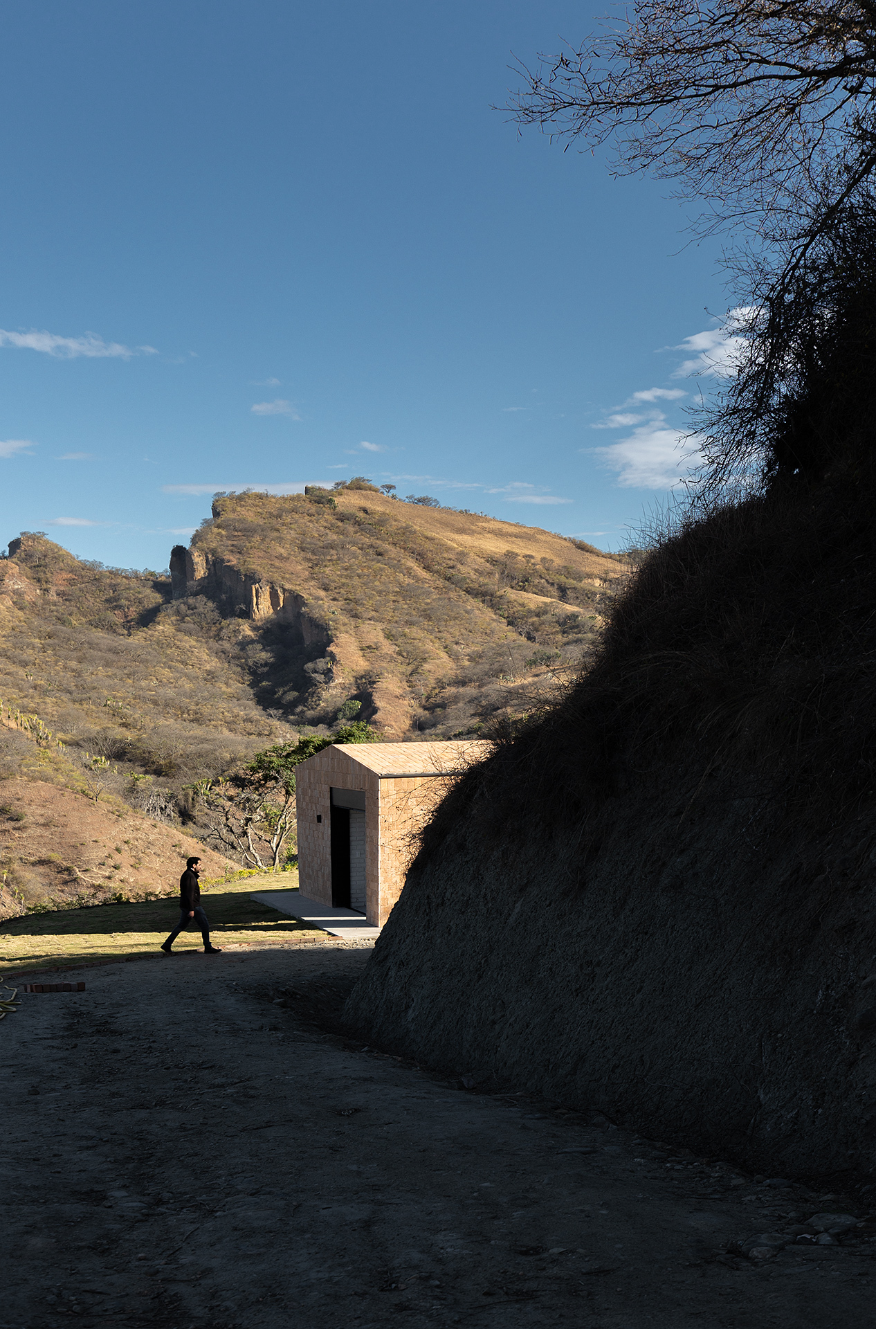 Native House  / David Regalado Arquitectura-30