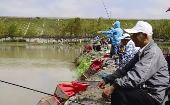 郊区“同居式”养老生活 | 自由、快乐、充实-14