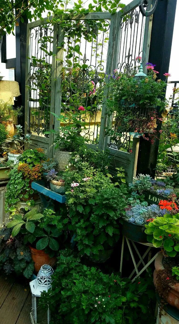 拥有一个这样的小院，人生足矣！-8