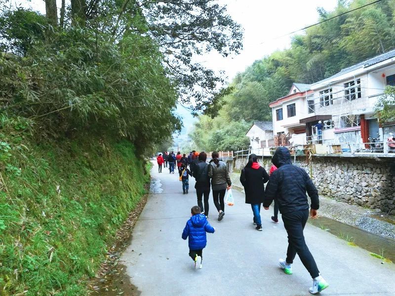 海华院春日踏青活动回顾 | 和谐邻里，美景尽收眼底-10