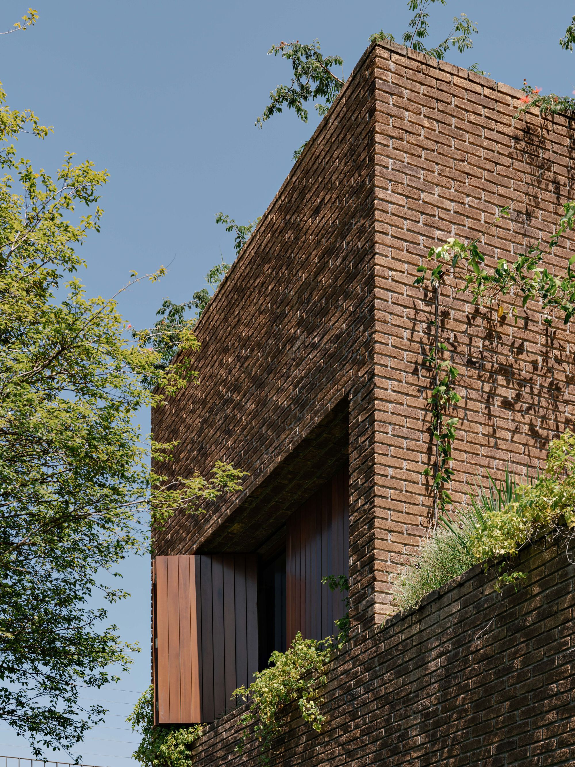 丨巴西圣保罗丨Felipe Hess Arquitetos-37