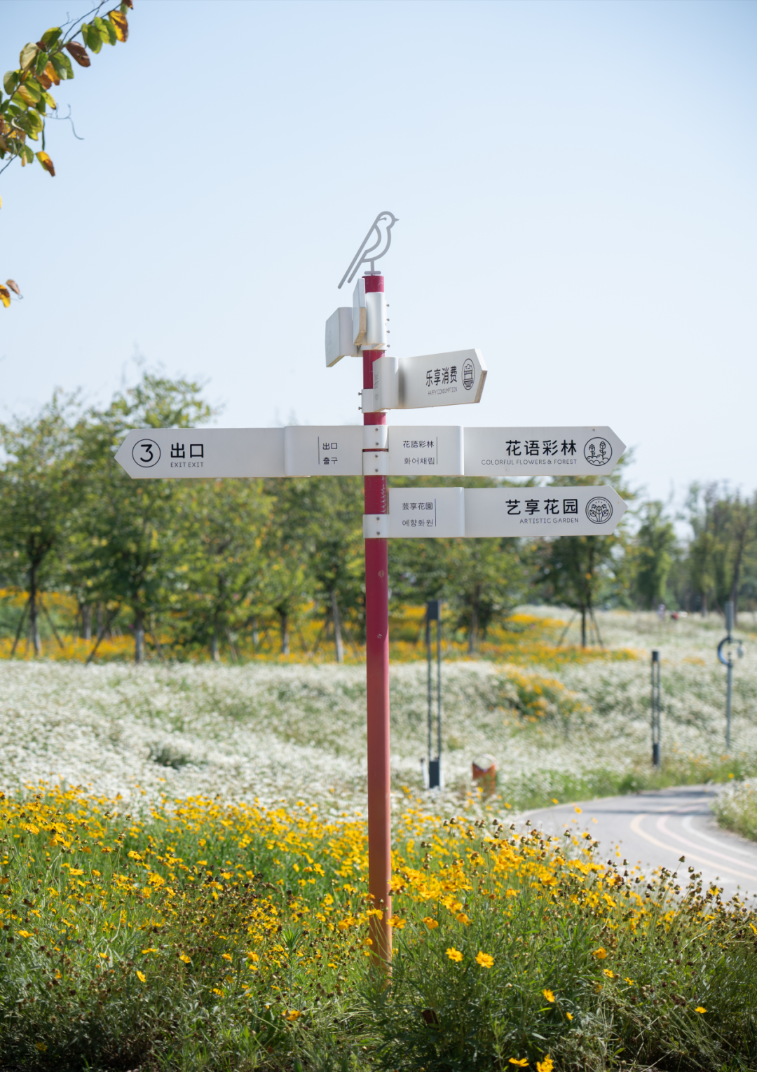 那条飘带 等你触碰:成都大运公园,BOXI柏熙标识丨中国成都丨上海柏熙标识有限公司-56