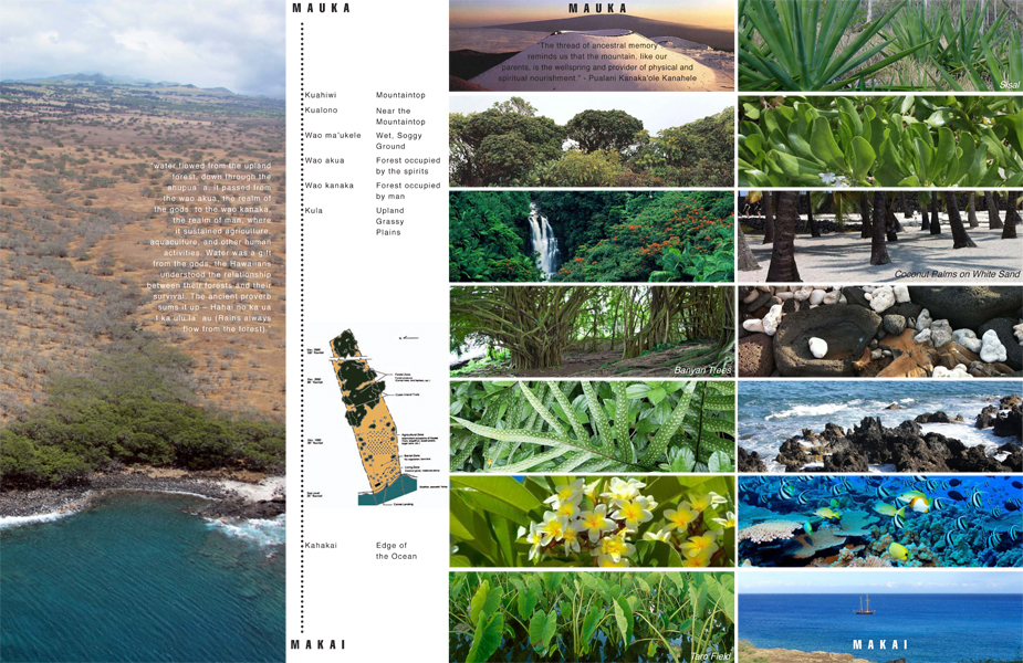 丨美国夏威夷-6