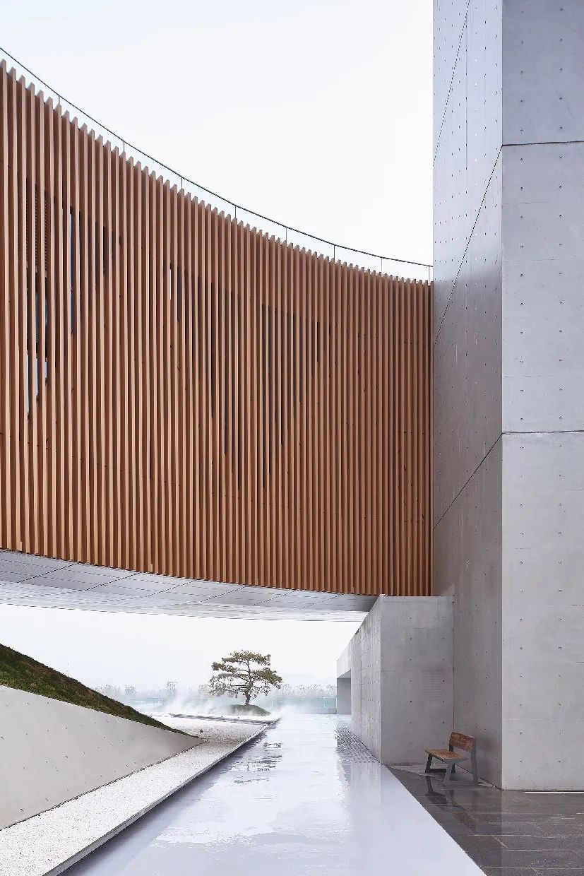 龙湖公共艺术中心丨中国郑州丨STUDIO A+-43