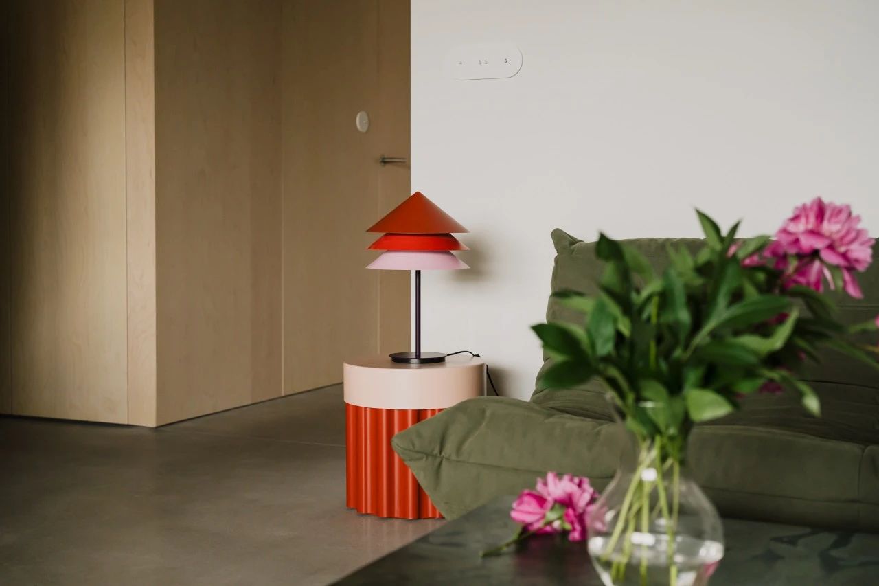 男子晒出69㎡小家，网友：一个人住真爽！-11