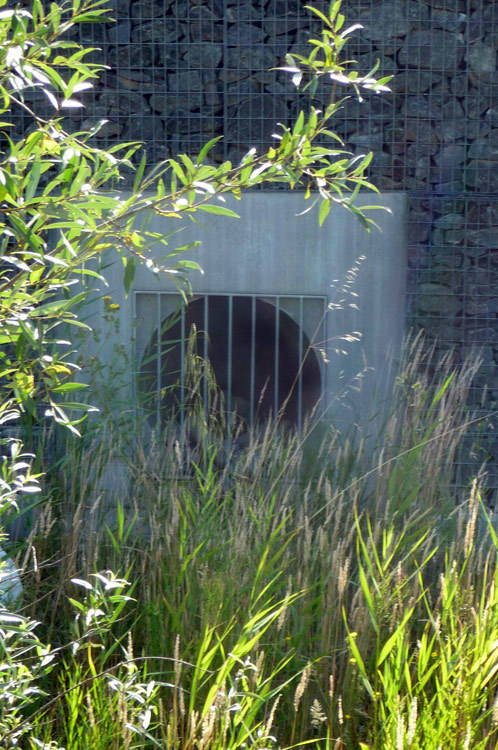 Bottière Chênaie 公园-6