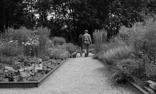 “老虎与乌龟”丨德国丨德国艺术家乌尔里希·根茨和海克·穆特-79