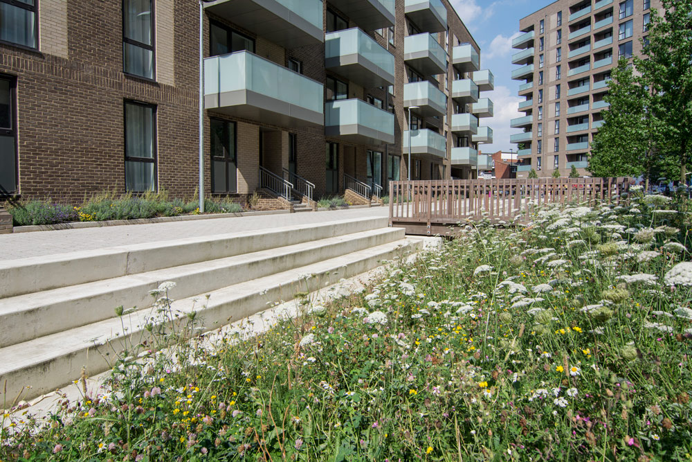 丨英国伦敦丨Levitt Bernstein-65