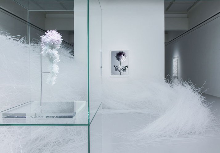 梦幻晶体 | Tokujin Yoshioka 东京个展-9