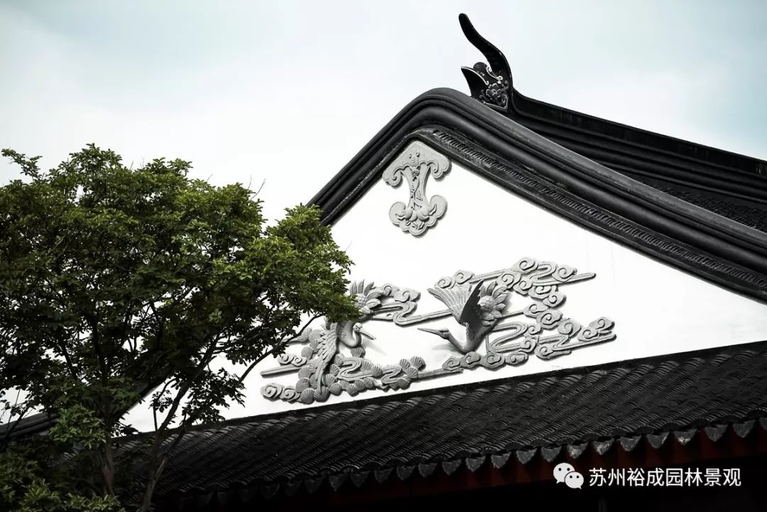 泰州荣园盆景园-22