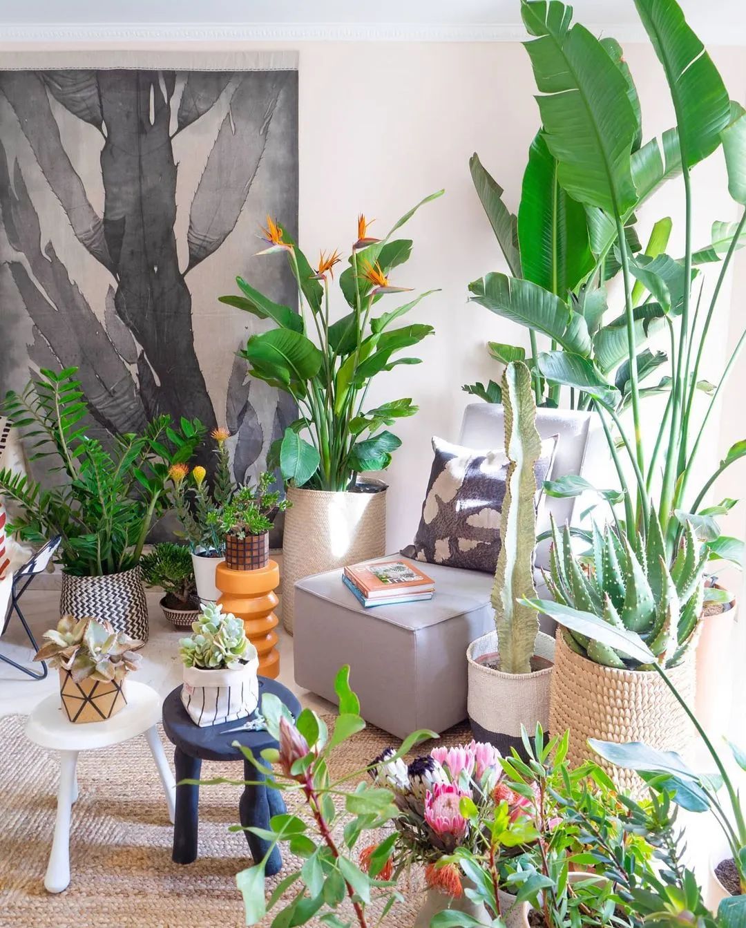 马卡龙色系的家丨法国丨Judith-1