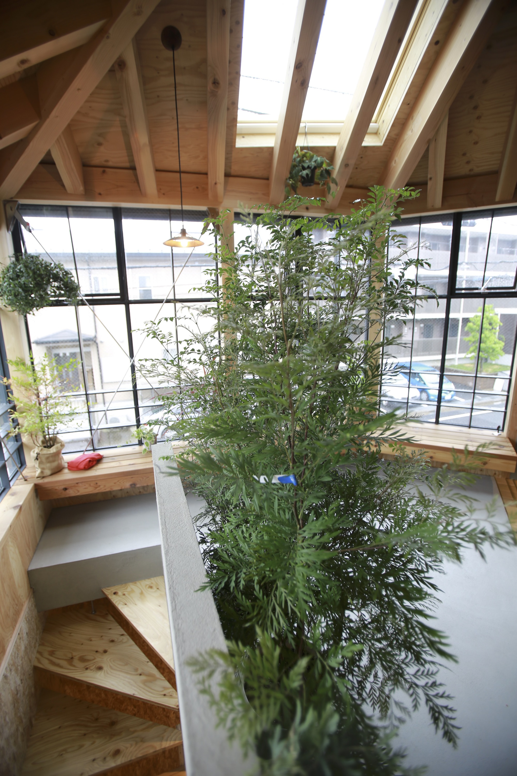 木本之家丨日本丨Niko Design Studio-16