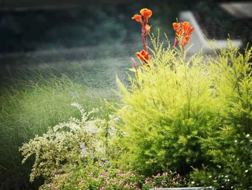 天安千树滨河花园 | 托马斯的文艺复兴空中花园梦-133