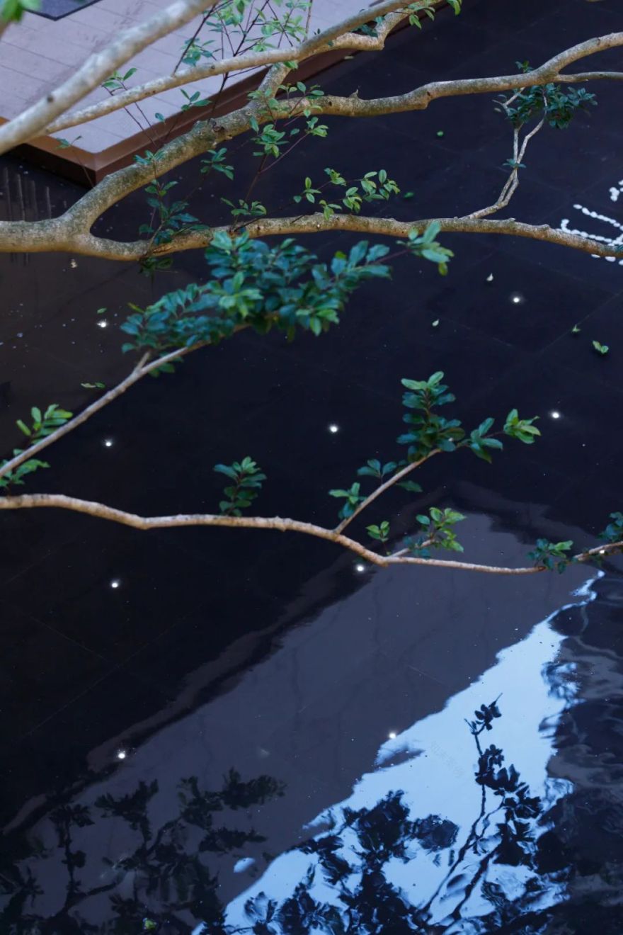 顺德美的世茂·滨江壹号丨中国佛山丨广州邦景园林绿化设计有限公司-62