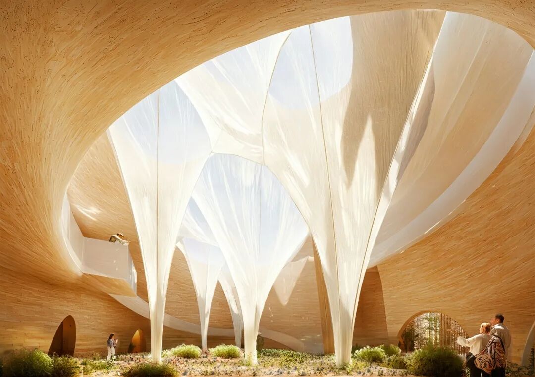 2025WAF奖短名单公布，中国土人占两项！-11