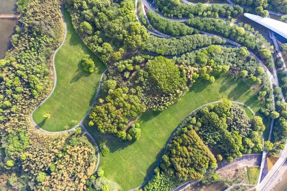 兰湖旅游度假区启动区设计 | 自然与人工的和谐融合-67