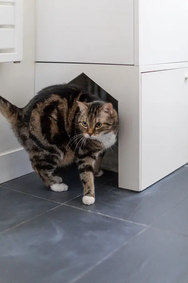 巴黎 50m²公寓的完美翻新 | 充满巴黎魅力的宜居空间-18