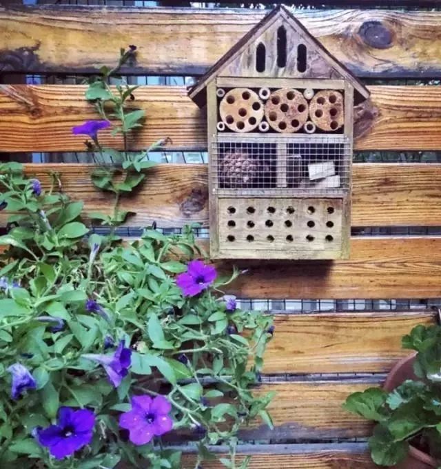 阳光里的美好片段-27