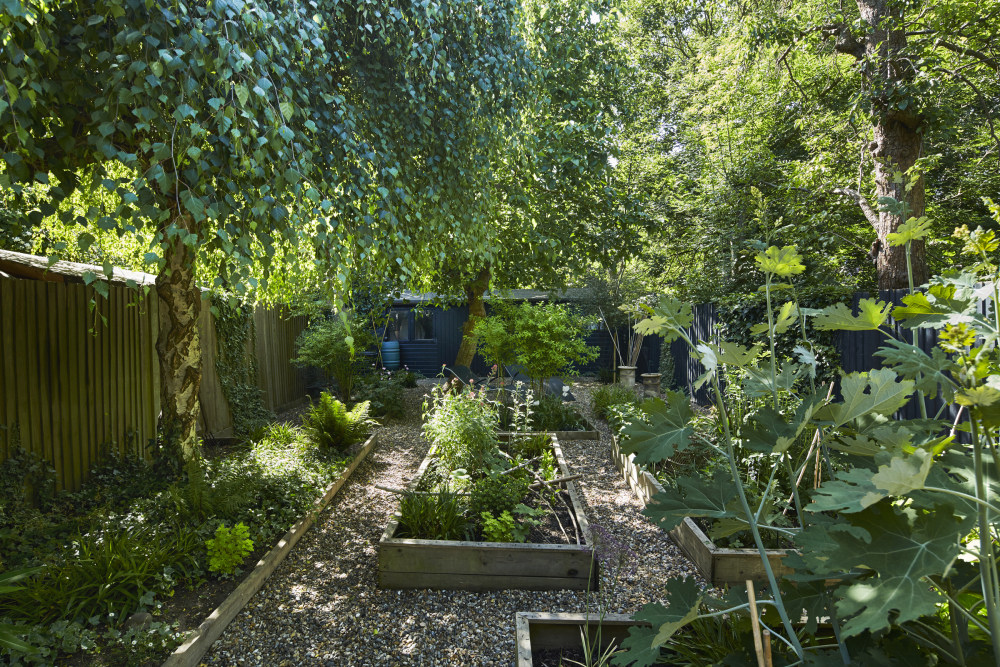 伦敦绿意盎然的家庭住宅-20