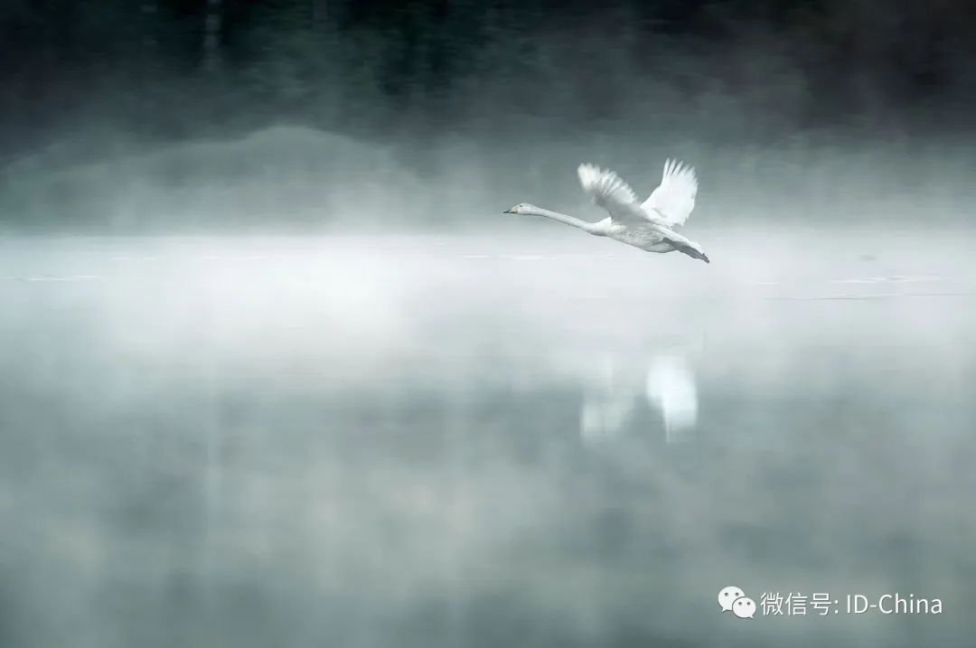 义乌桃花源 · 现代东方雅奢居所的设计典范丨中国金华丨浙江绿城联合设计有限公司(GUD)-0