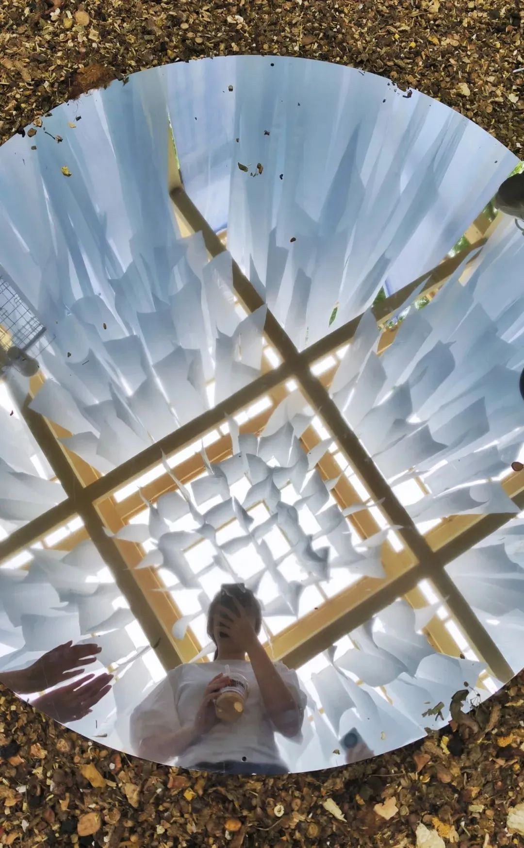 “见天地，愈身心”：我院景观系师生打造中医药疗愈花园@上海国际花展-9