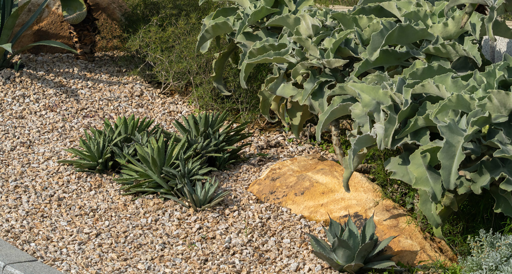 阿那亚·三亚三期丨中国三亚丨Line+-111