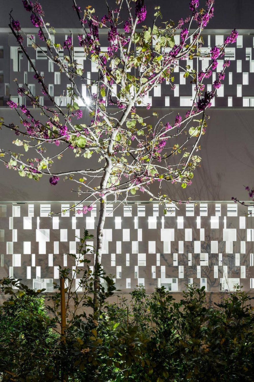 特拉维夫现代乡村之家-35