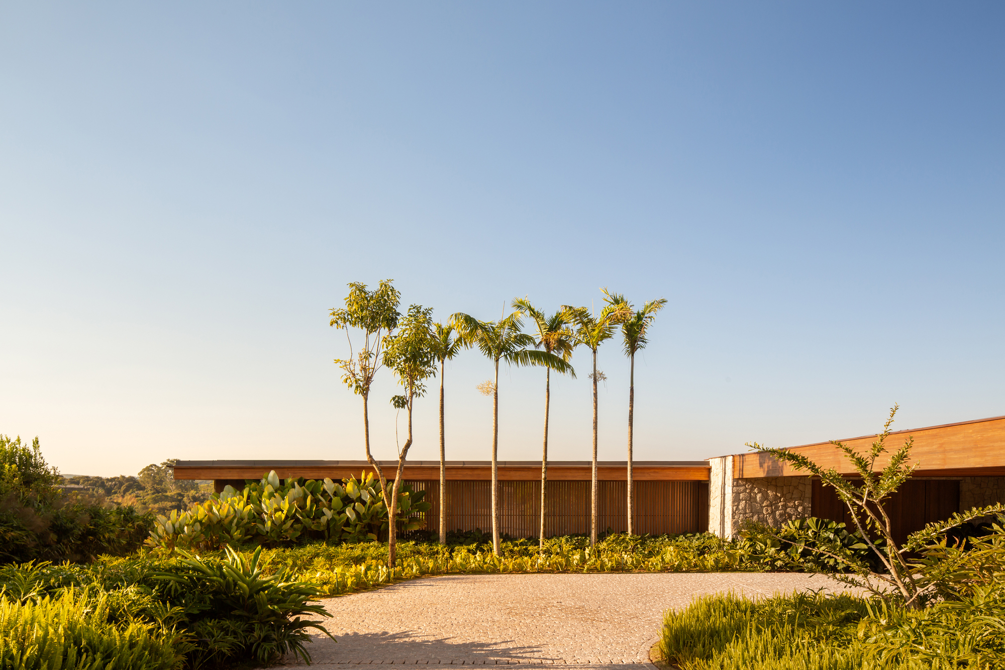 拉面宗尼之家（注：Ramenzoni可能是特定名称，因缺乏更多背景信息，这里仅按常见方式拆分音译Ramen为拉面，zoni音译为宗尼） 丨巴西丨KA2R Arquiteura-39