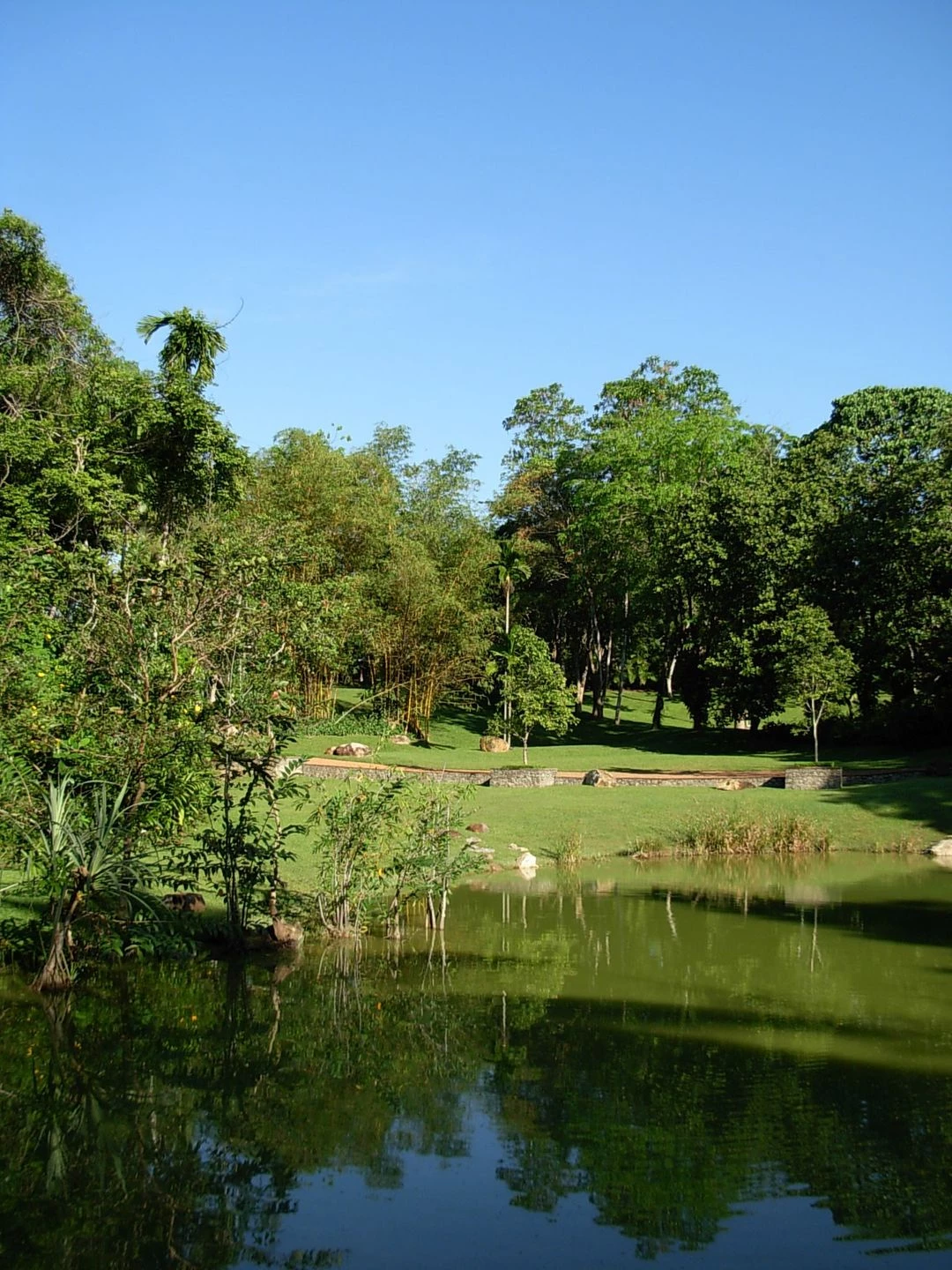 斯里兰卡“荆棘”庄园-36