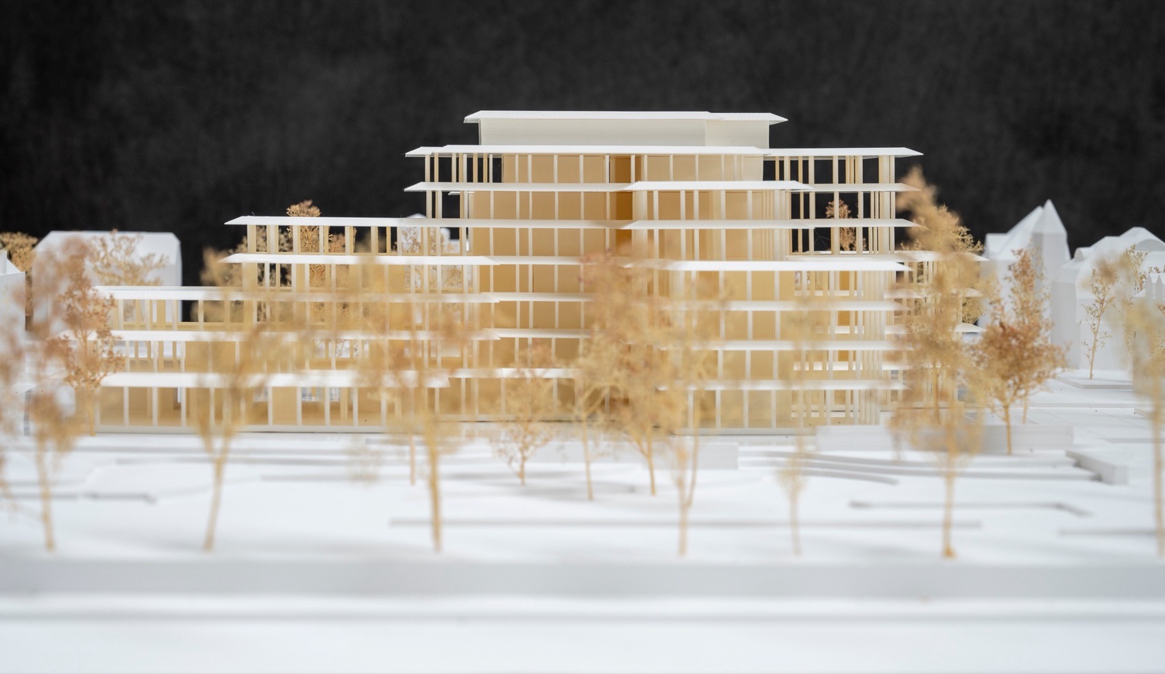 Bellerivestrasse 36大楼丨瑞士苏黎世丨C.F. Møller Architects-94