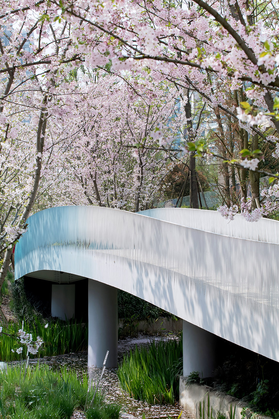成都麓湖皮划艇航道景观丨中国成都丨纬图设计机构-40
