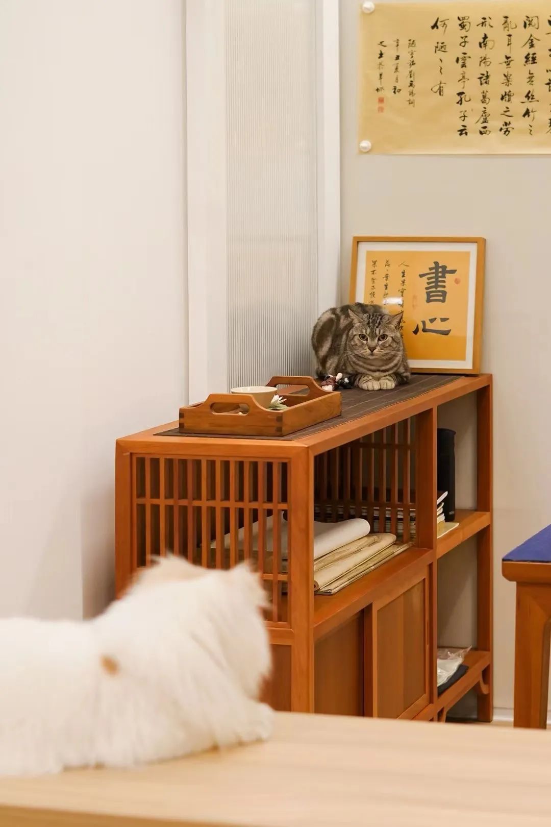 日式原木风家居设计丨中国广州丨跨界设计师carya-84