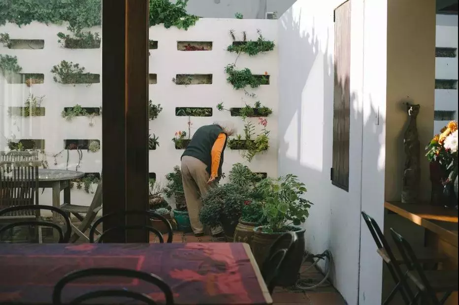 梦想退休生活 | 五个姐妹的丽江抱团养老房-89