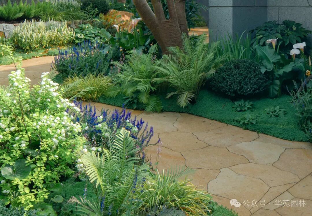 层叠的野性丨武汉瑞安城市展厅-56