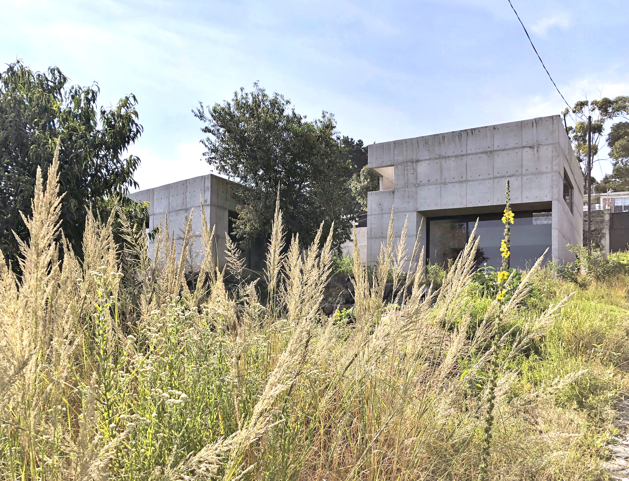 Colibrí House / ViGa Arquitectos-28