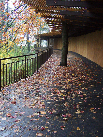 巴尔维哈（公共楼梯）-1