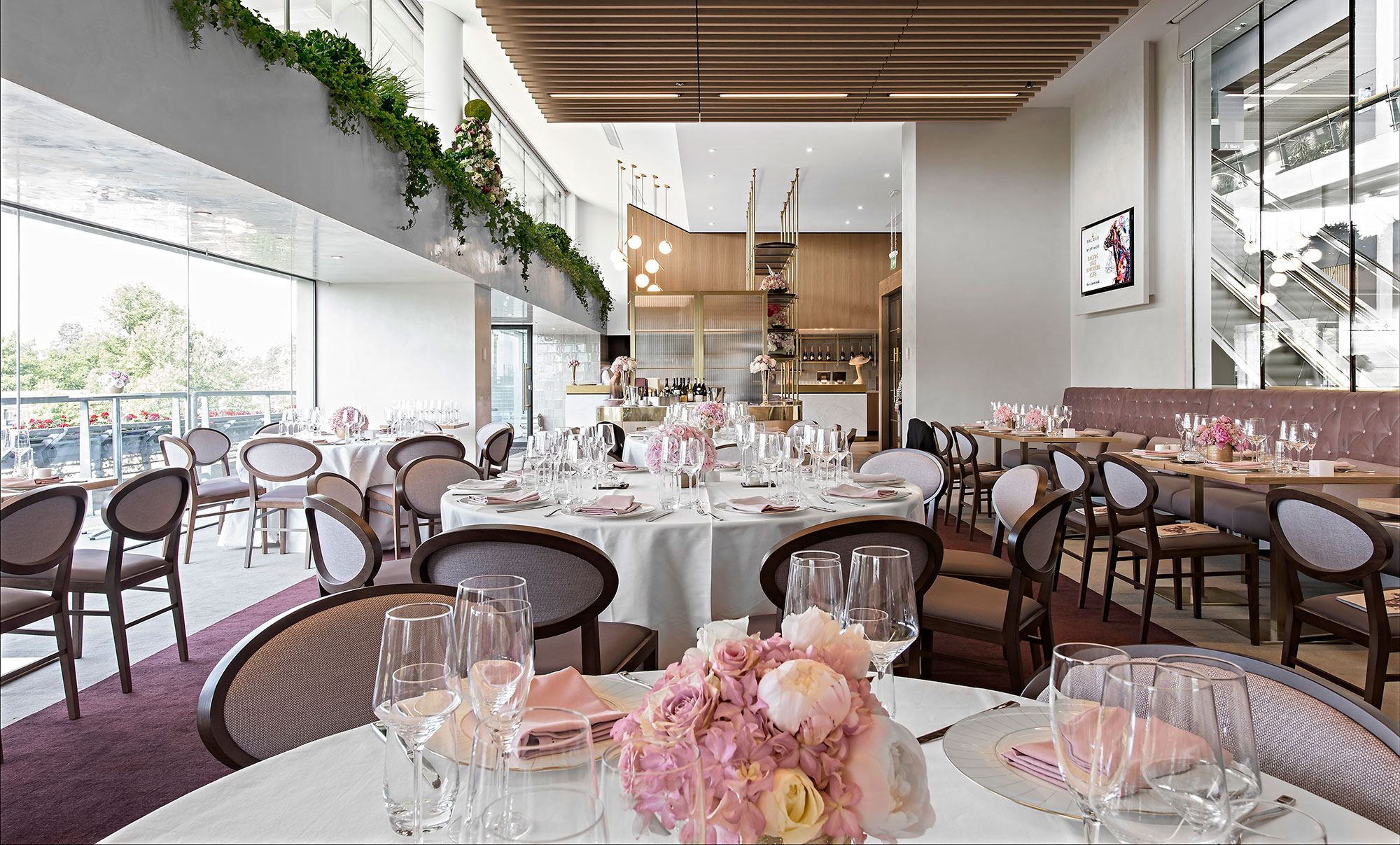 阿斯科特游行戒指 SHH-0