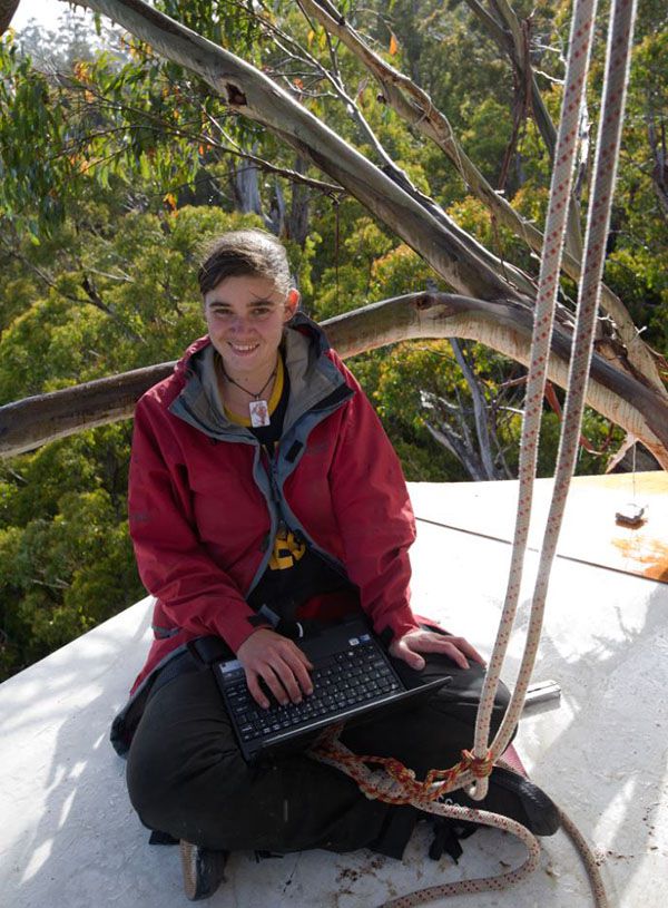 300老樹木屋計畫「熱海鳥居」（Kusukusu）丨日本丨日本小林崇,NAP Architects-34