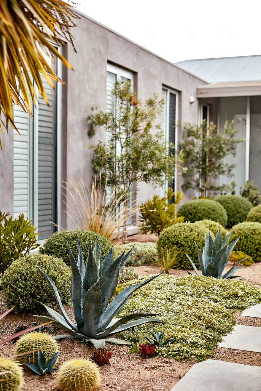 莫宁顿梦境花园-21