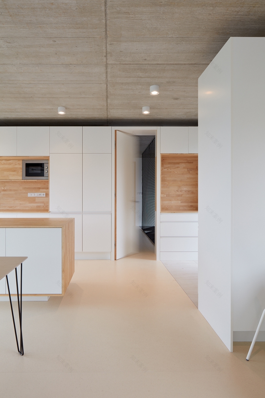 捷克森林斜坡上的简约住宅-36