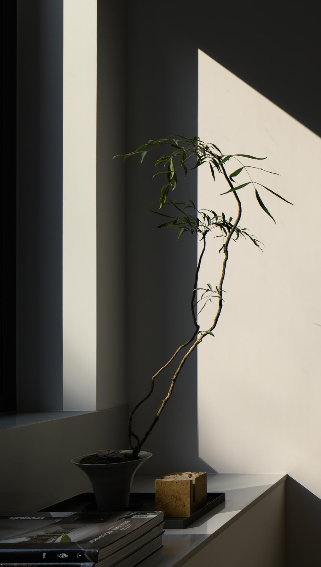 极简大宅,柳岸晓风-38