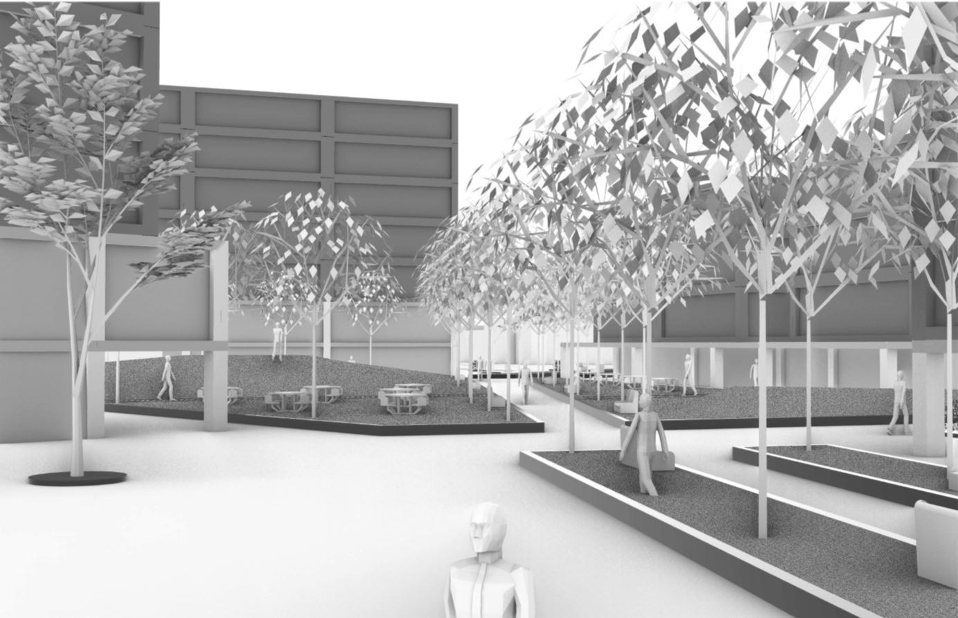 组装苹果项目丨哥伦比亚-31