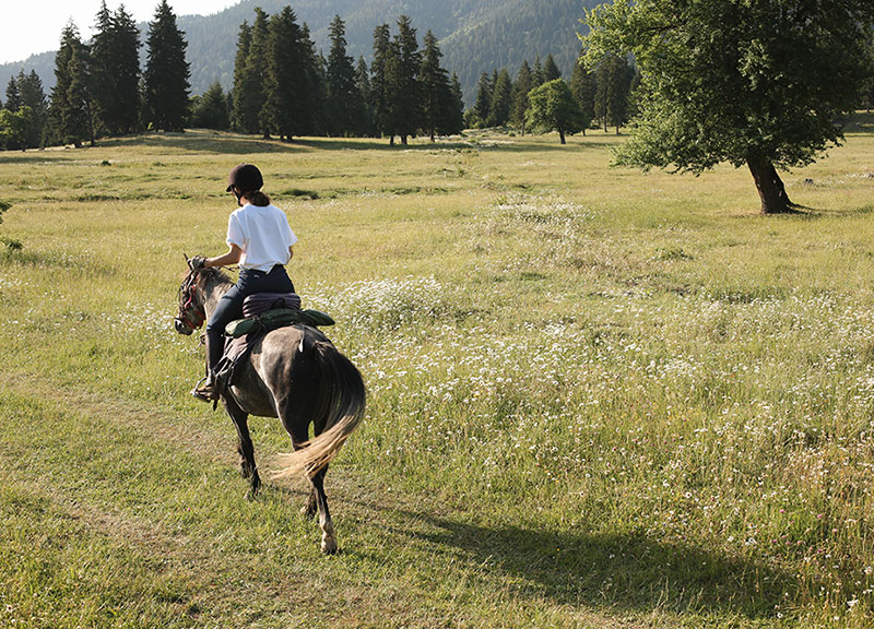 新时尚客房科赫塔酒店-23