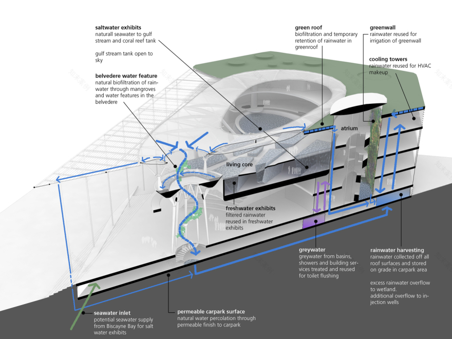 佛罗里达迈阿密 Frost 科学博物馆-70