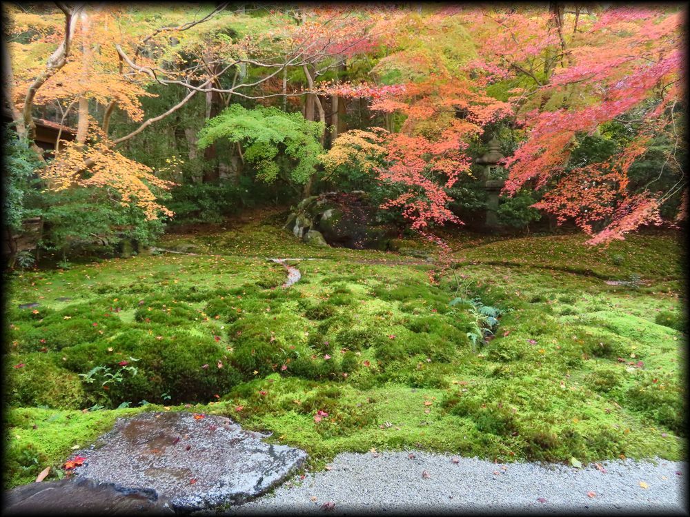 瑠璃光院（旧高级旅馆「喜鶴亭」）丨日本京都-30