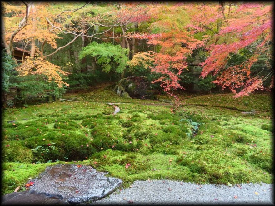 瑠璃光院(旧高级旅馆「喜鶴亭」)丨日本京都-30