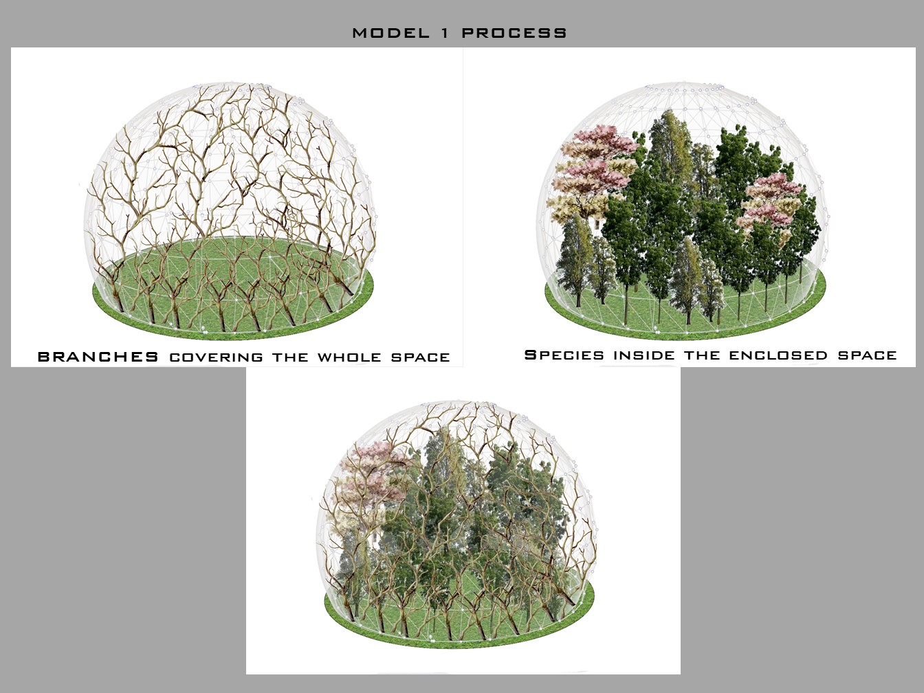 Futuristic park at Shaukat khanum chowk, Lahore-14